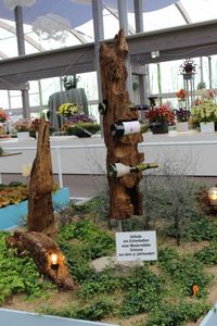 Blumen Pörtner Eichenbalken