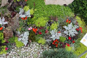 Blumen Pörtner Grabgestaltung