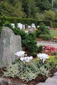 Blumen Pörtner Grabgestaltung