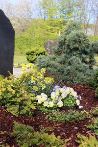 Blumen Pörtner Grabgestaltung