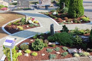 Blumen Pörtner Memoriam Gärten