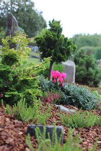 Blumen Pörtner Memoriam Gärten