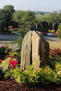 Blumen Pörtner Memoriam Gärten