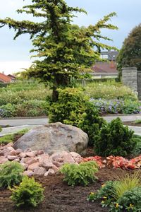 Blumen Pörtner Memoriam Gärten